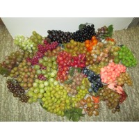 Big Lot Vintage Artificial Fake Fruit Grapes Vines Red Green Purple Decor 7lbs   362313988800